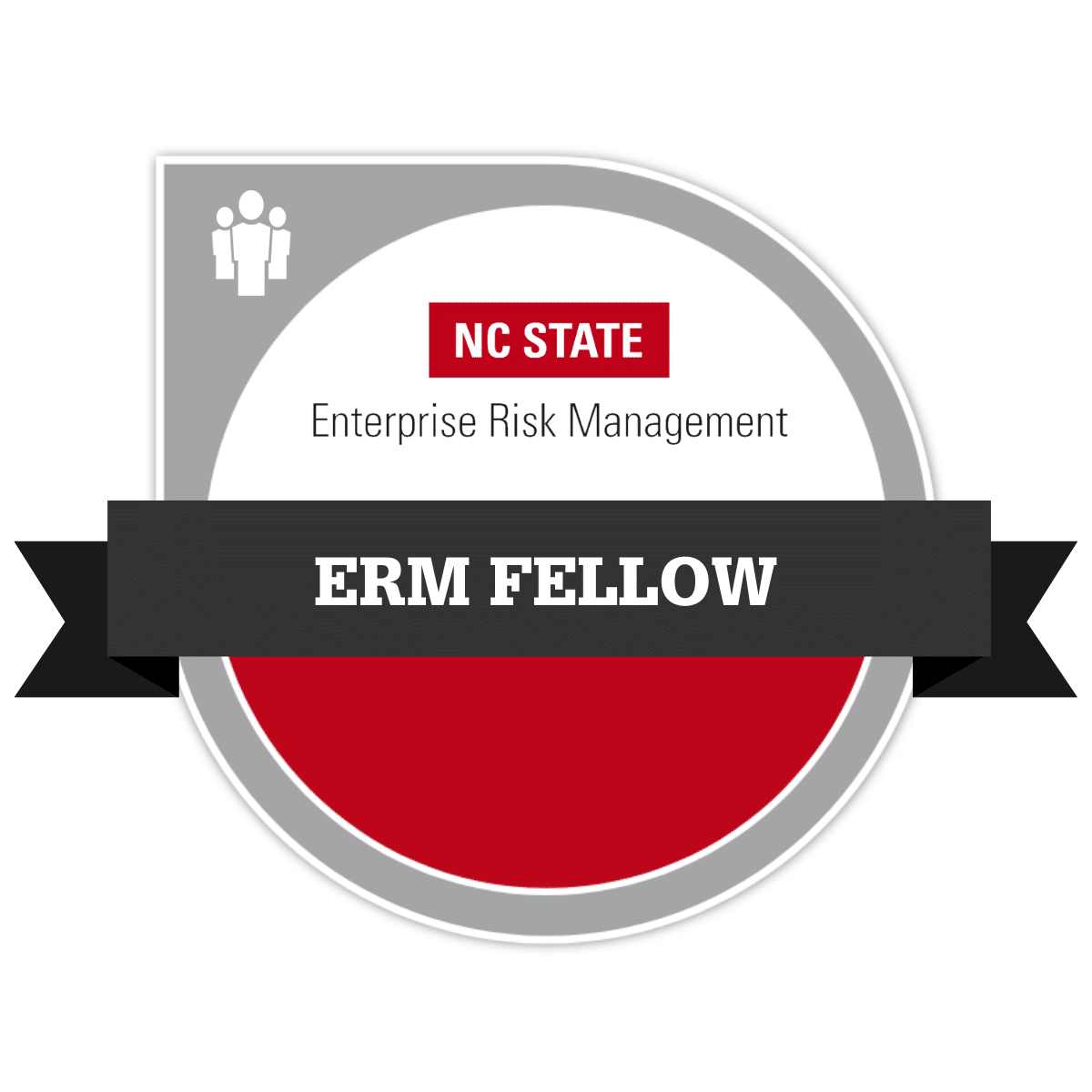 NC State ERM Fellow