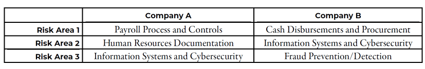 Internal Audit Technology Risk Areas Table
