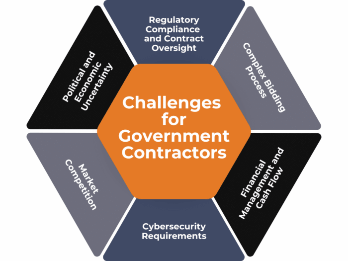 challenges for govt contractors graphic